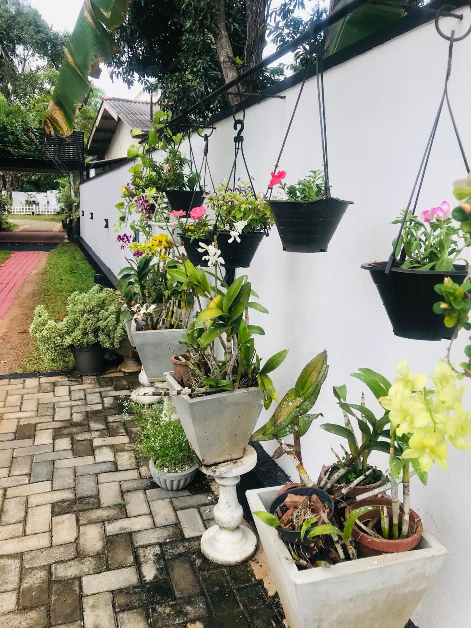 Pinidiya Resort Anuradhapura Exteriör bild